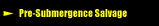Pre-Submergence