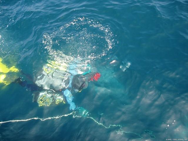 2004 Survey - Phase I

Sea Hunter III

Javier on Granny, Descending