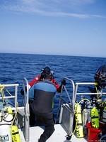 2004 Survey - Phase I

Sea Hunter III - Post Dive

Wes Boarding, Mark (back)