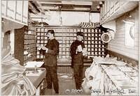 Typical Ship's
Mail Sorting Room